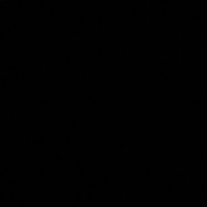 Meet your Posher, Jeffrey